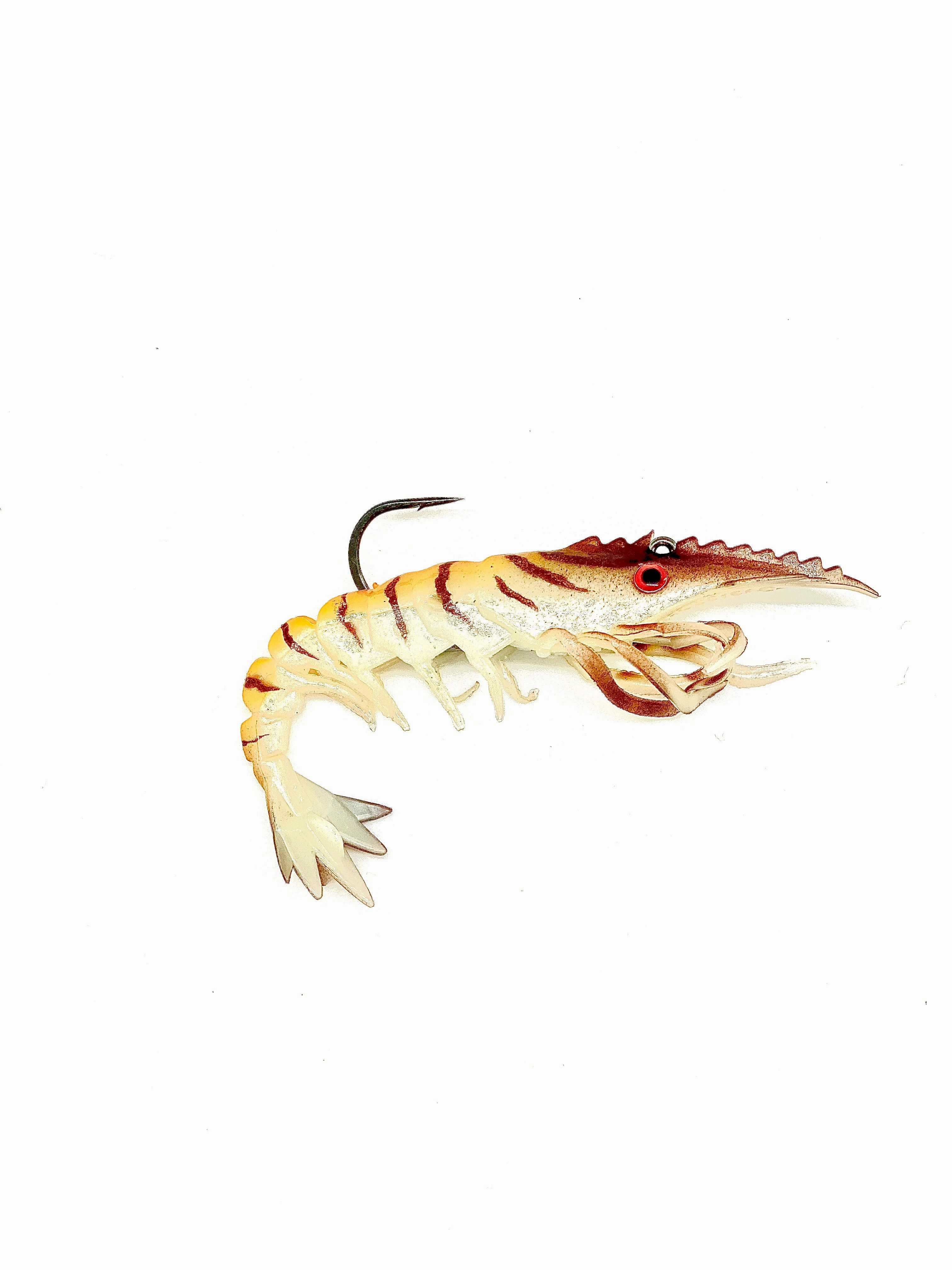 BS002 pumpkin spice (4) pack (2) rigged