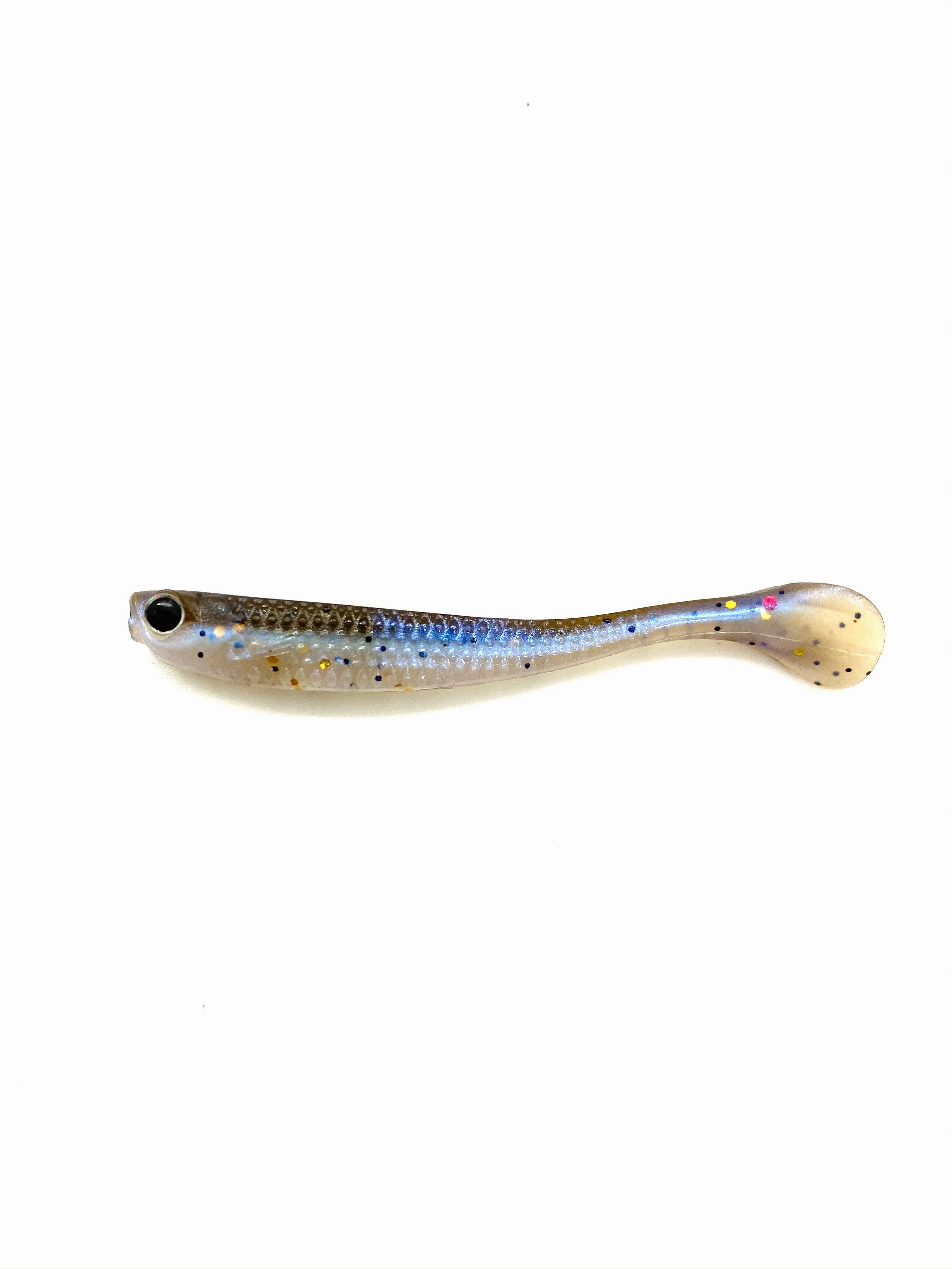 NS010 Live Shiner (10)per package 2 long